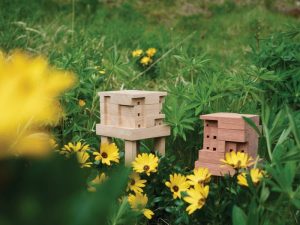 casinhas para abelhas